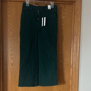 Judy Blue Teal Denim Jeans